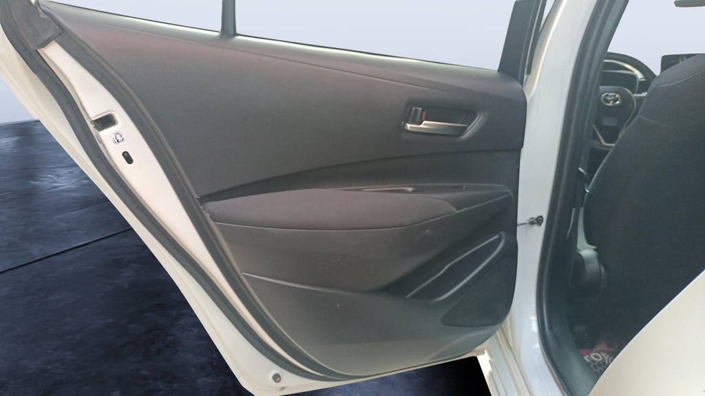 RR L DOOR