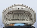 CAR HOOD