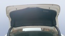 TRUNK HOOD