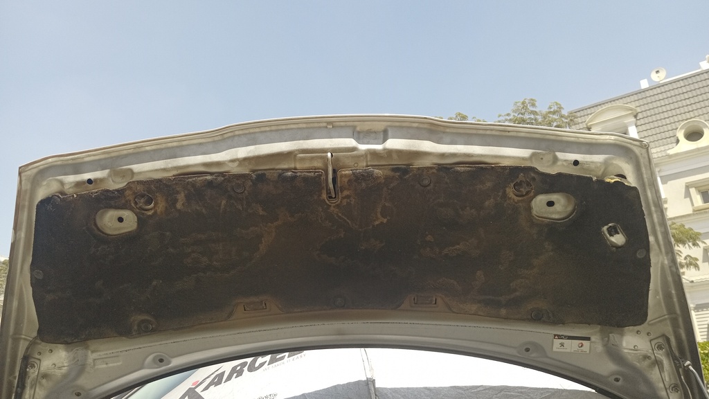 CAR HOOD