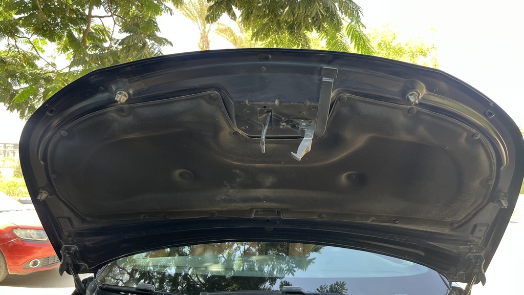 CAR HOOD