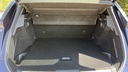 TRUNK