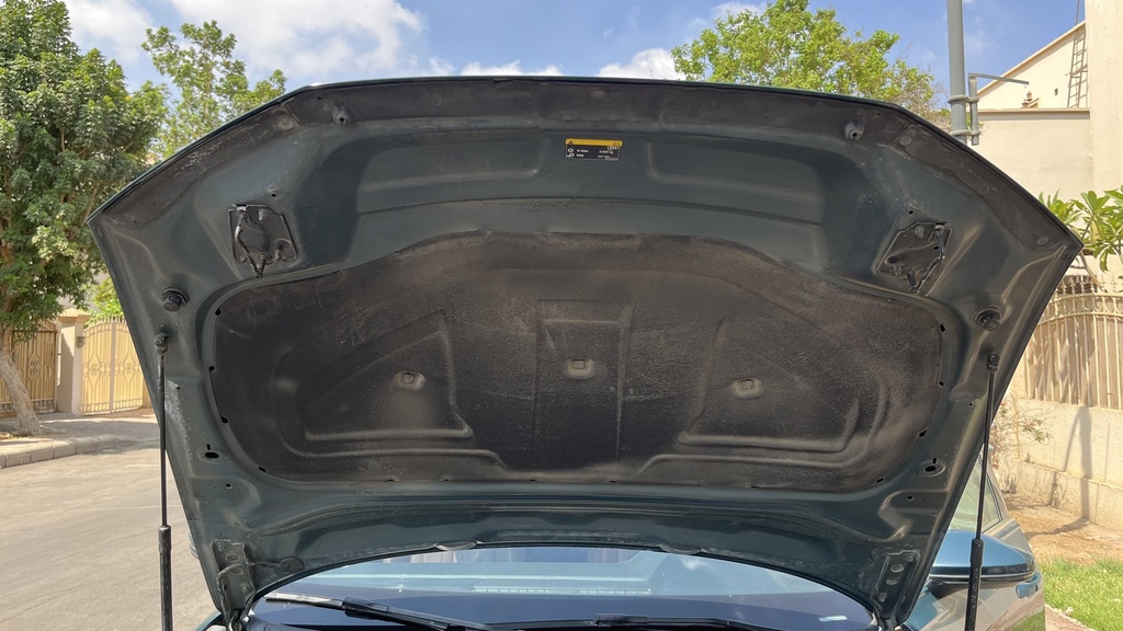 CAR HOOD