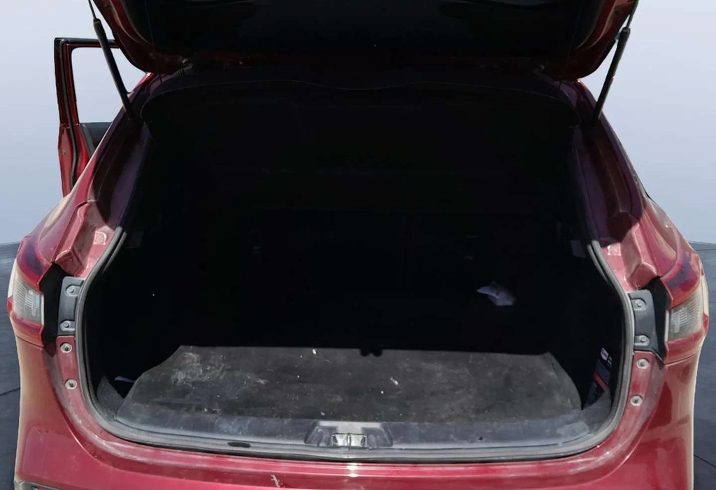 TRUNK