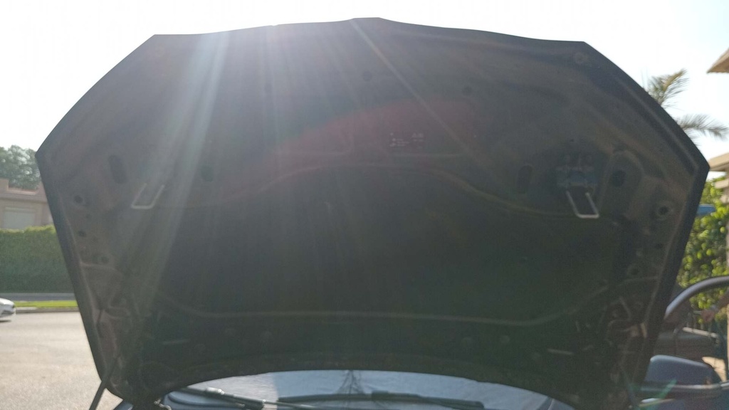 CAR HOOD