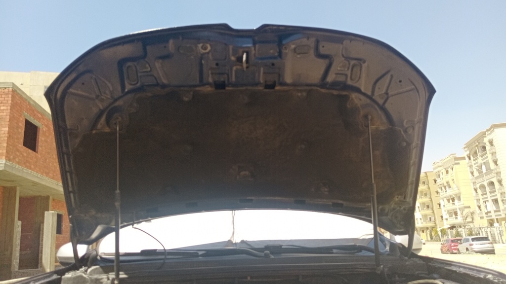 CAR HOOD
