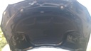 CAR HOOD