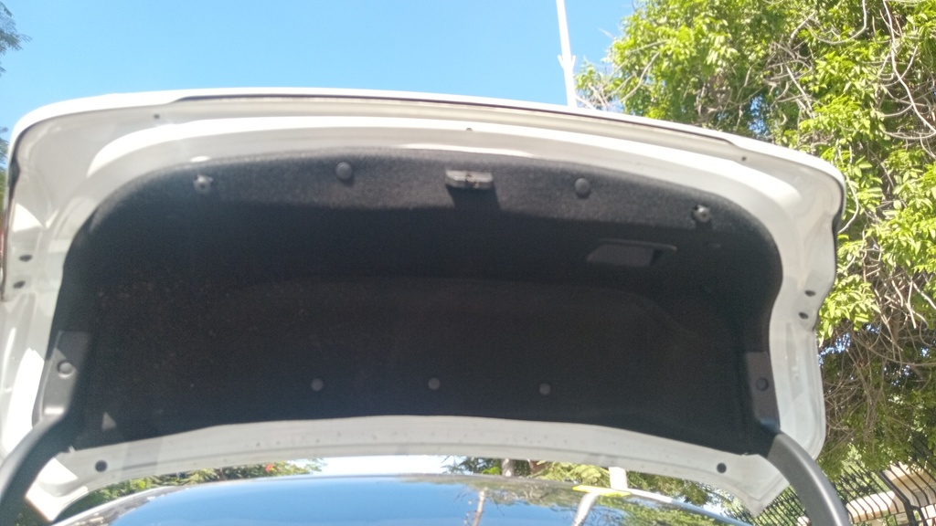 CAR HOOD