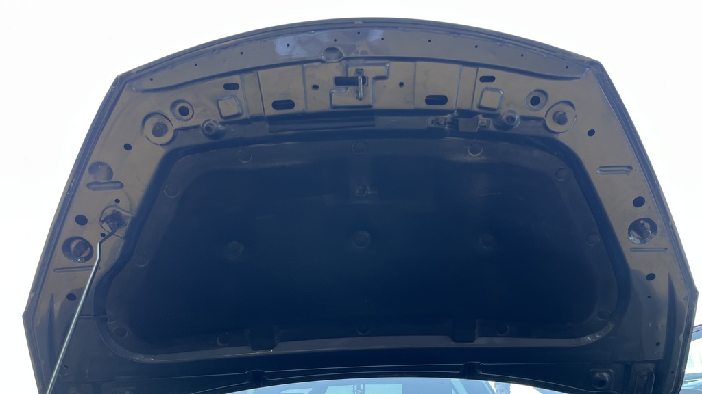 CAR HOOD