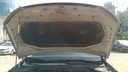 CAR HOOD