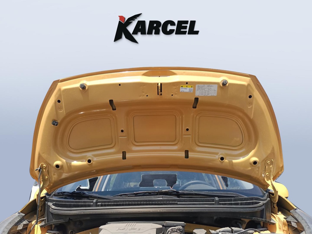 CAR HOOD