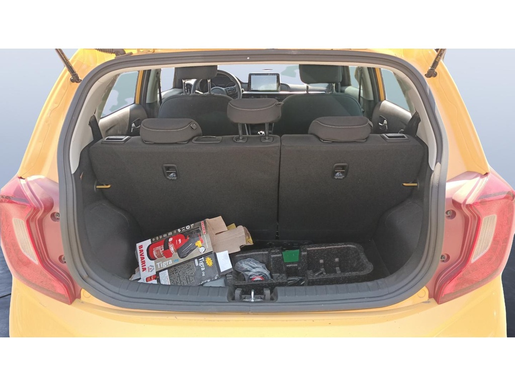 TRUNK