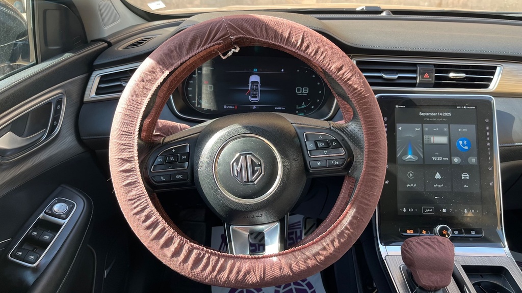 STEERING WHEEL
