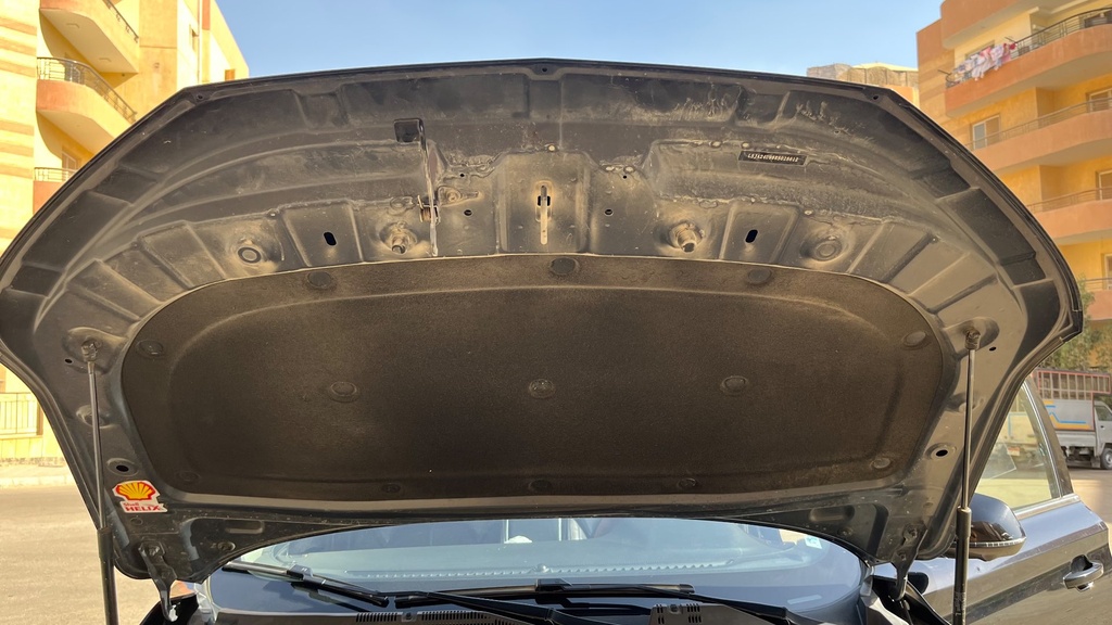CAR HOOD