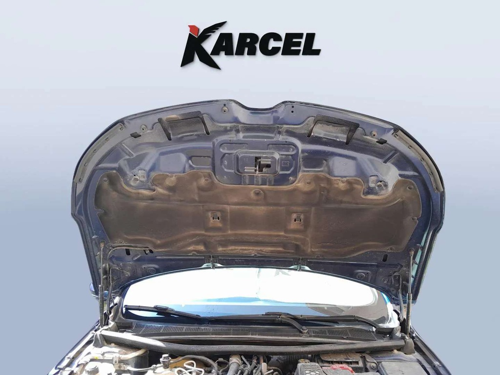 CAR HOOD