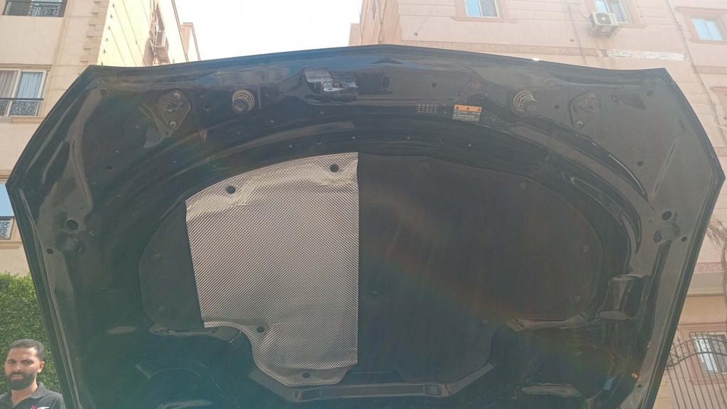 CAR HOOD