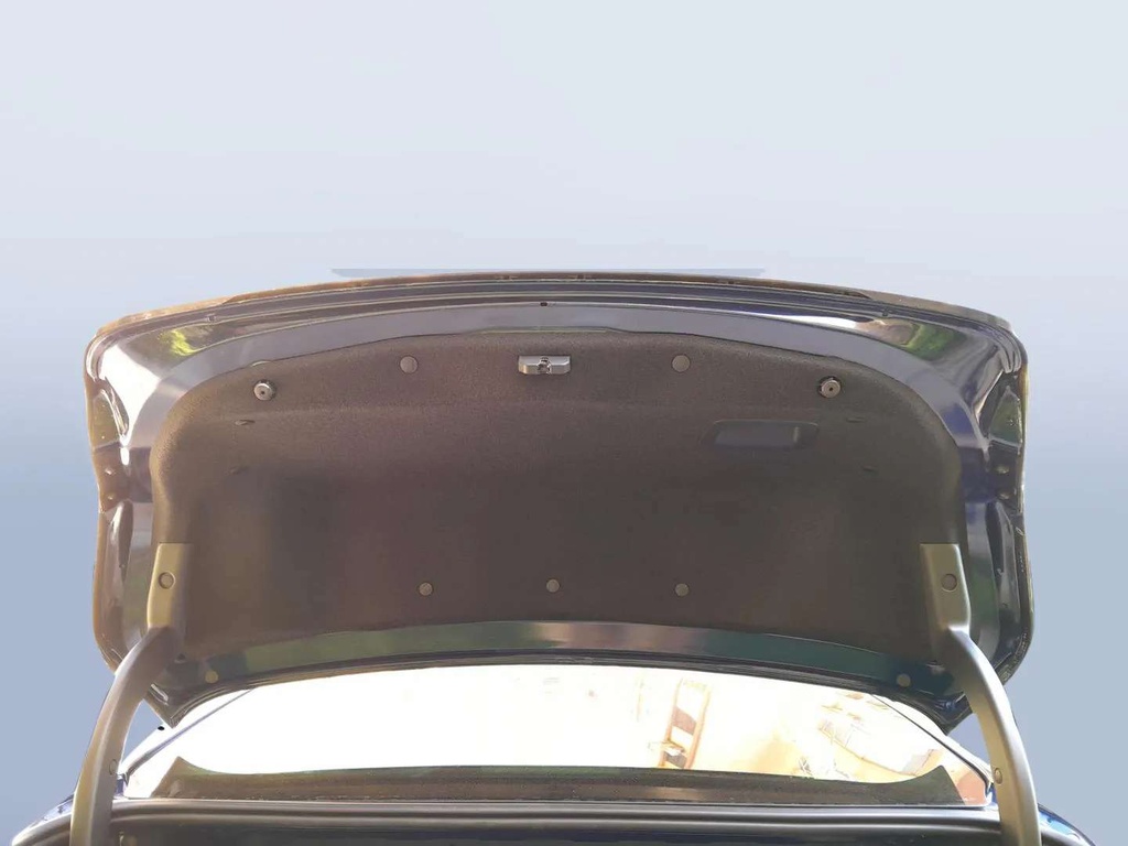 TRUNK HOOD