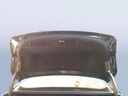 TRUNK HOOD