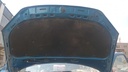 CAR HOOD