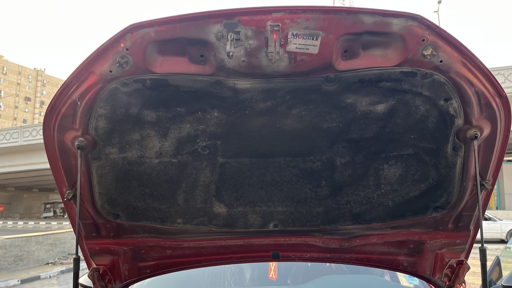 CAR HOOD
