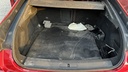 TRUNK