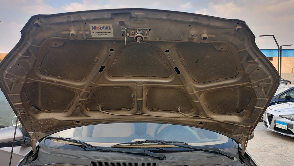 CAR HOOD
