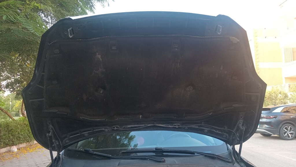 CAR HOOD