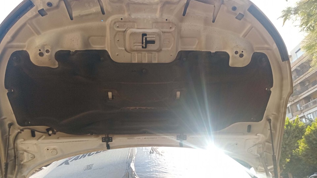 CAR HOOD