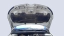 CAR HOOD