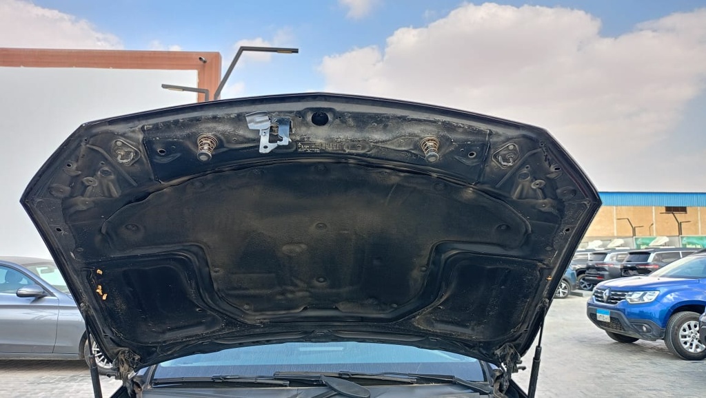 CAR HOOD