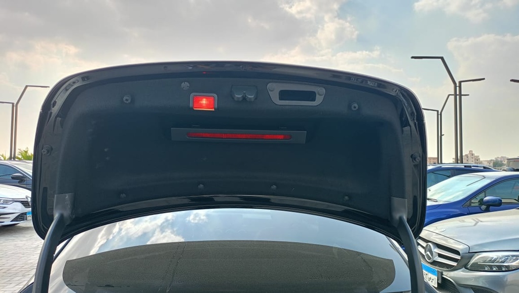 TRUNK HOOD