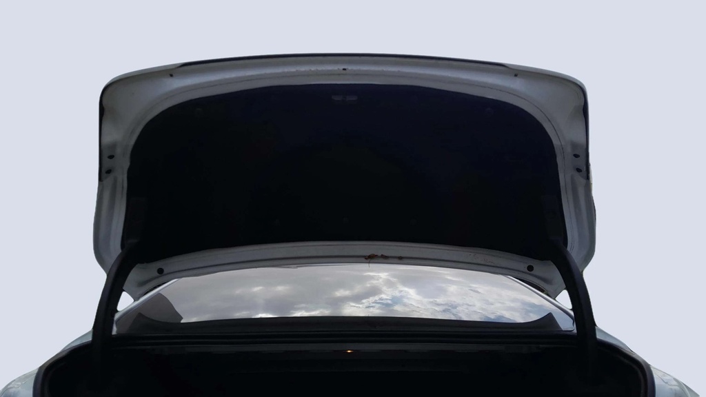 TRUNK HOOD