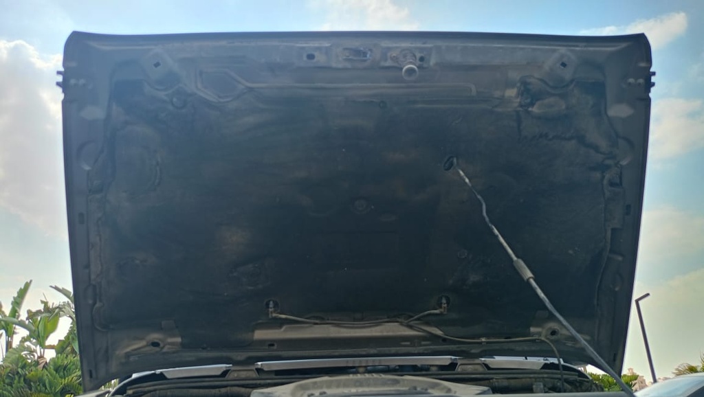 CAR HOOD