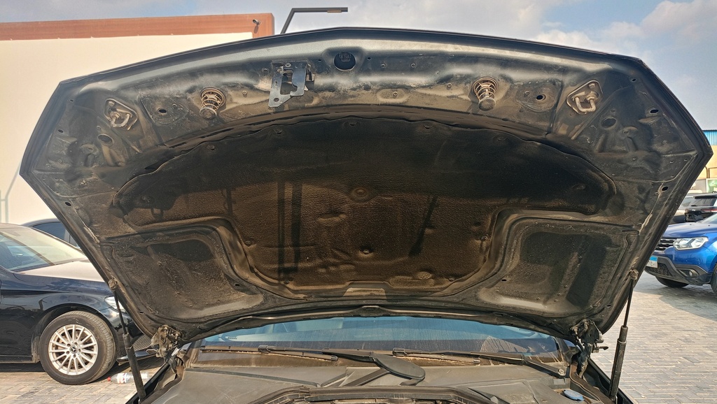 CAR HOOD