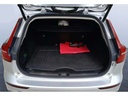 TRUNK