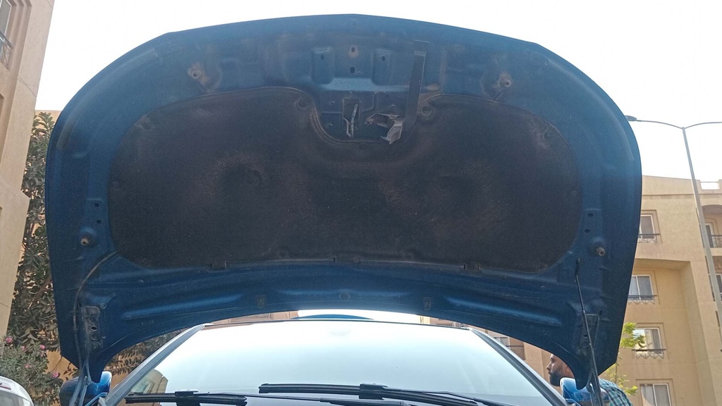 CAR HOOD