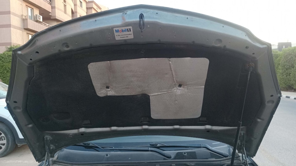 CAR HOOD