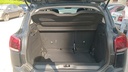 TRUNK