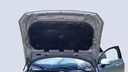 CAR HOOD