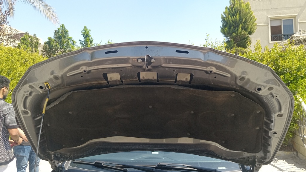 CAR HOOD