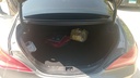 TRUNK