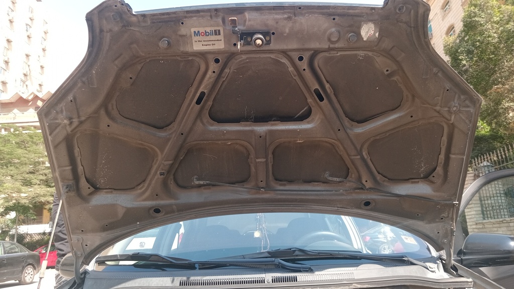 CAR HOOD