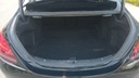 TRUNK