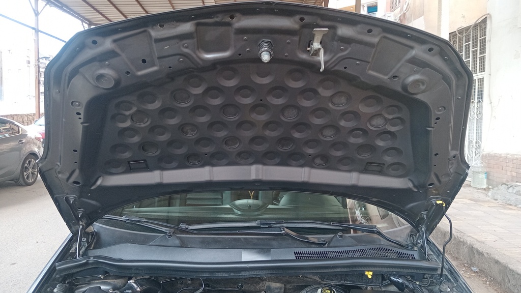 CAR HOOD