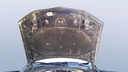 CAR HOOD