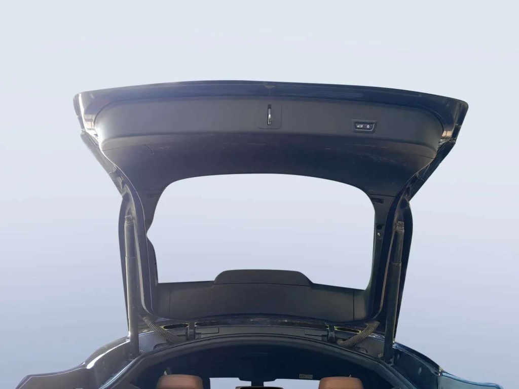 TRUNK HOOD