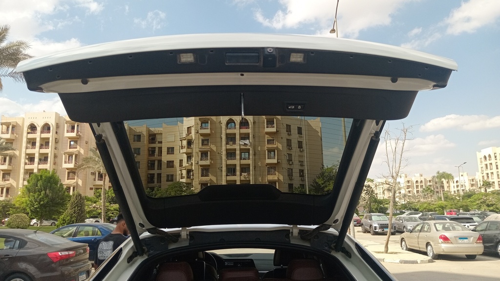 TRUNK HOOD