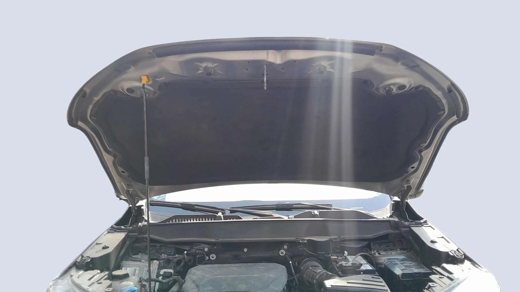 CAR HOOD