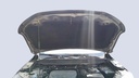 CAR HOOD