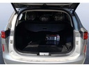 TRUNK